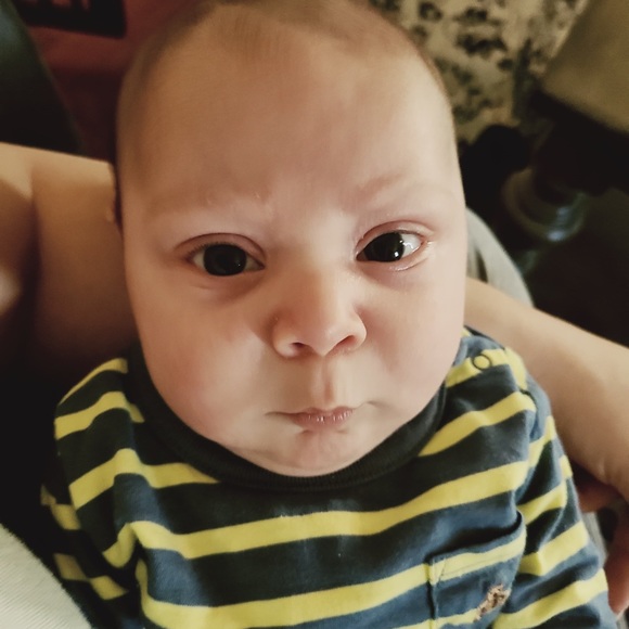 Meet your Posher, Terran - Picture 2 of 6